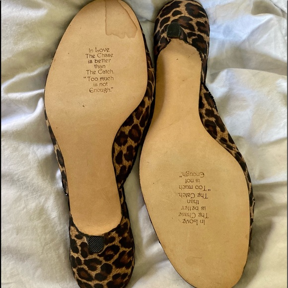 Beverly Feldman Kitten healed Slides - Picture 3 of 5